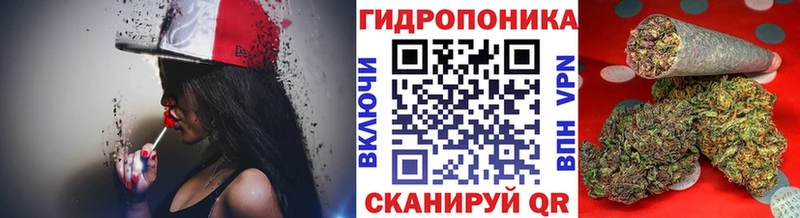 KRAKEN рабочий сайт  где продают наркотики  Лукоянов  Конопля сатива 